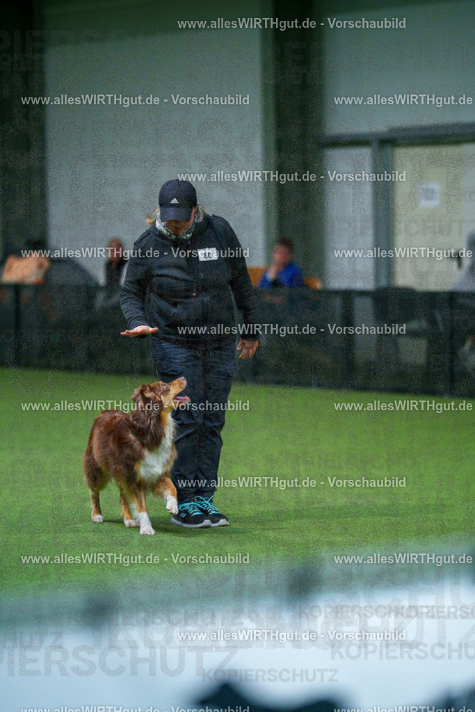 7R502867 | Professionelle Tierfotografie in Mönchengladbach von Daniel Wirth (allesWIRTHgut). Liebevolle & natürliche Bilder von Hunden & Katzen für unvergessliche Erinnerungen.