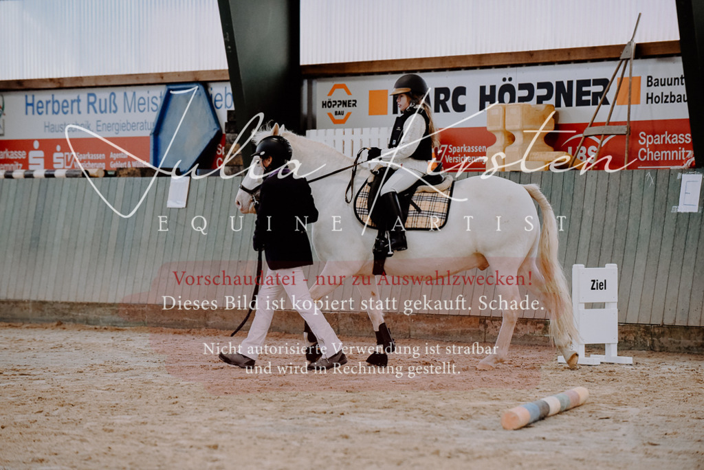 DSC_6662 | Pferde- und Turnierfotografie in Westsachsen. Pferdeportraits, Auftragszeichnungen und intuitive Kunst.