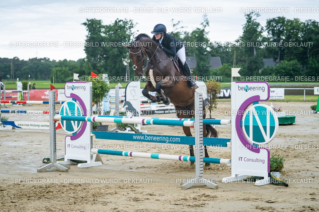 DSC04194 | Pferdegrafie