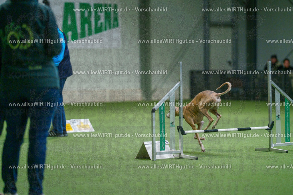 7R500371 | Professionelle Tierfotografie in Mönchengladbach von Daniel Wirth (allesWIRTHgut). Liebevolle & natürliche Bilder von Hunden & Katzen für unvergessliche Erinnerungen.