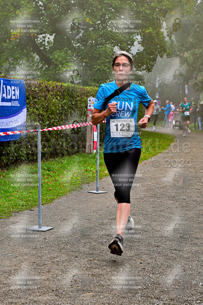 Z8N_1782 | la-psv - Realisiert mit Pictrs.com