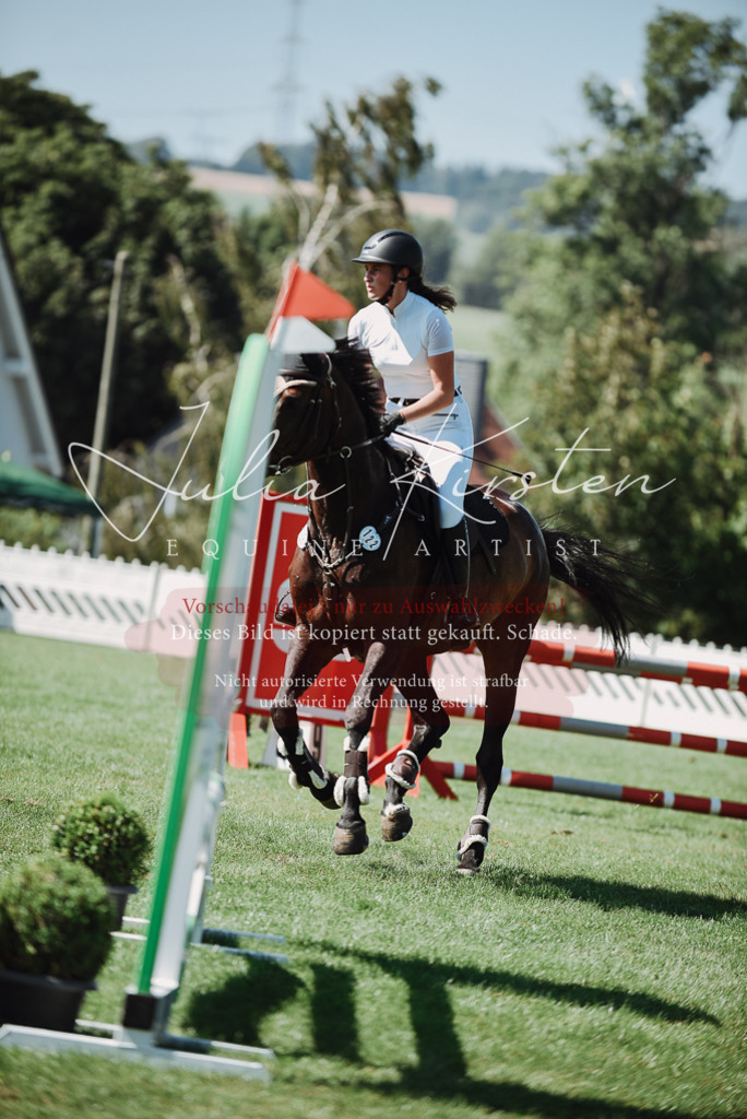 DSC_3247 | Pferde- und Turnierfotografie in Westsachsen. Pferdeportraits, Auftragszeichnungen und intuitive Kunst.