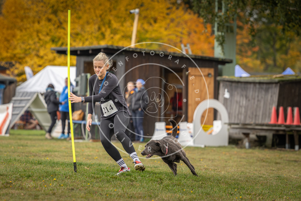 Pfotenfotografie_DV3A2899 | Hundefotografie, Tierfotograf, Pfotenfotografie, Fotoshooting Hund, Hunde Portrait, Hundesport, Hundeportraits, Heideshooting, Hunde, Sportfotograf, Hundefotograf, Turnierhundsport, THS,  - Realisiert mit Pictrs.com