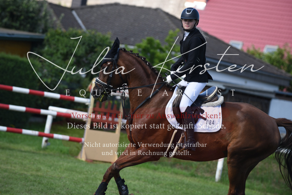 DSC_9166 | Pferde- und Turnierfotografie in Westsachsen. Pferdeportraits, Auftragszeichnungen und intuitive Kunst.