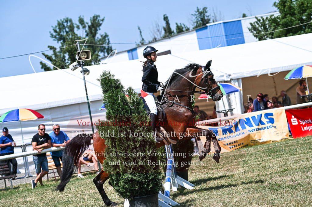 DSC_9864 | Pferde- und Turnierfotografie in Westsachsen. Pferdeportraits, Auftragszeichnungen und intuitive Kunst.