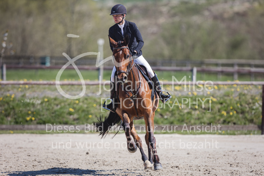 220416_3_A-Springen2-452 | Frühlingsfest der Pferde
Herford
16.April 2022
03/2 Sprigprüfung mit steigenden Anforderungen Kl. A** geschlossen 44-481 RLP