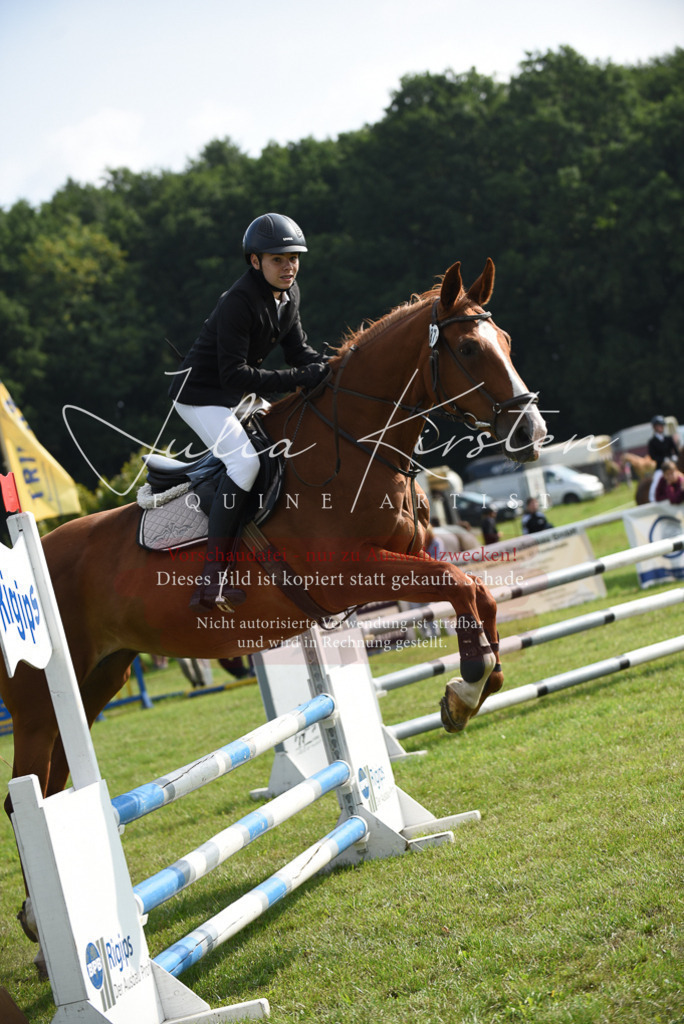 DSC_8799 | Pferde- und Turnierfotografie in Westsachsen. Pferdeportraits, Auftragszeichnungen und intuitive Kunst.