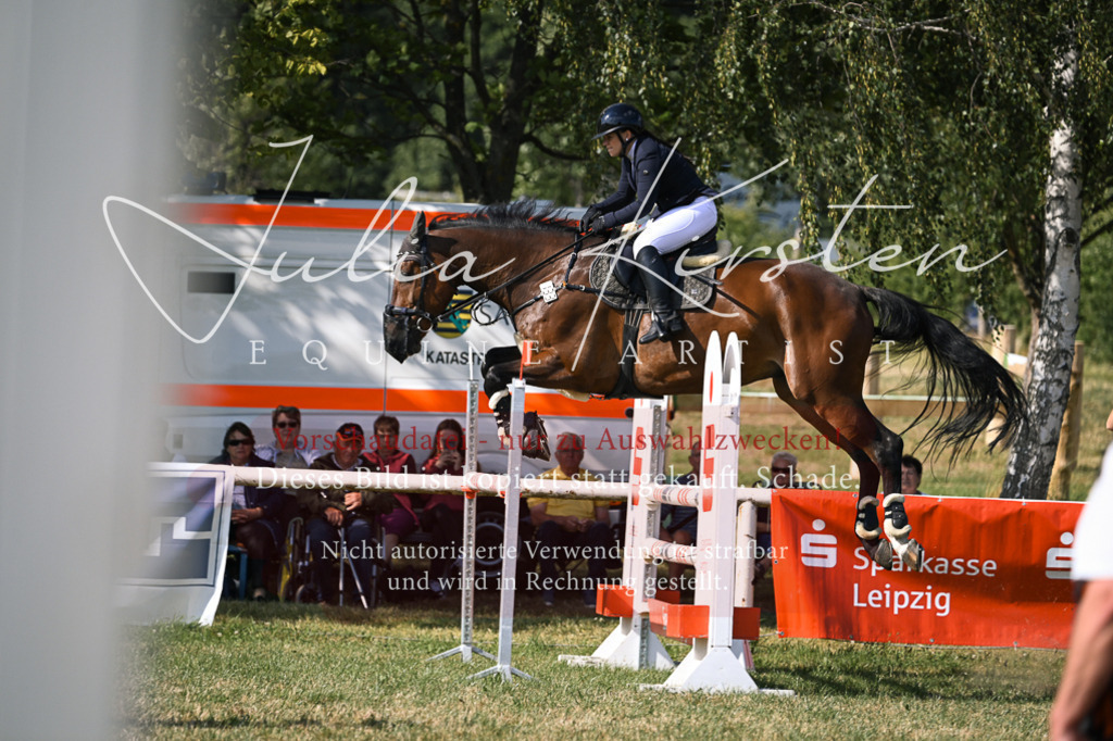 DSC_1169 | Pferde- und Turnierfotografie in Westsachsen. Pferdeportraits, Auftragszeichnungen und intuitive Kunst.