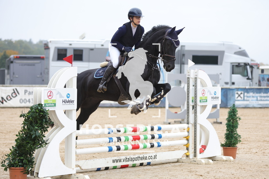 0P6A0695 | Willkommen bei Brunnmayr - Design & Fotografie – Ihrem Spezialisten für Reitturniere und Pferdeveranstaltungen in Oberösterreich, Salzburg und Bayern! Seit über 17 Jahren sind wir leidenschaftlich dabei.