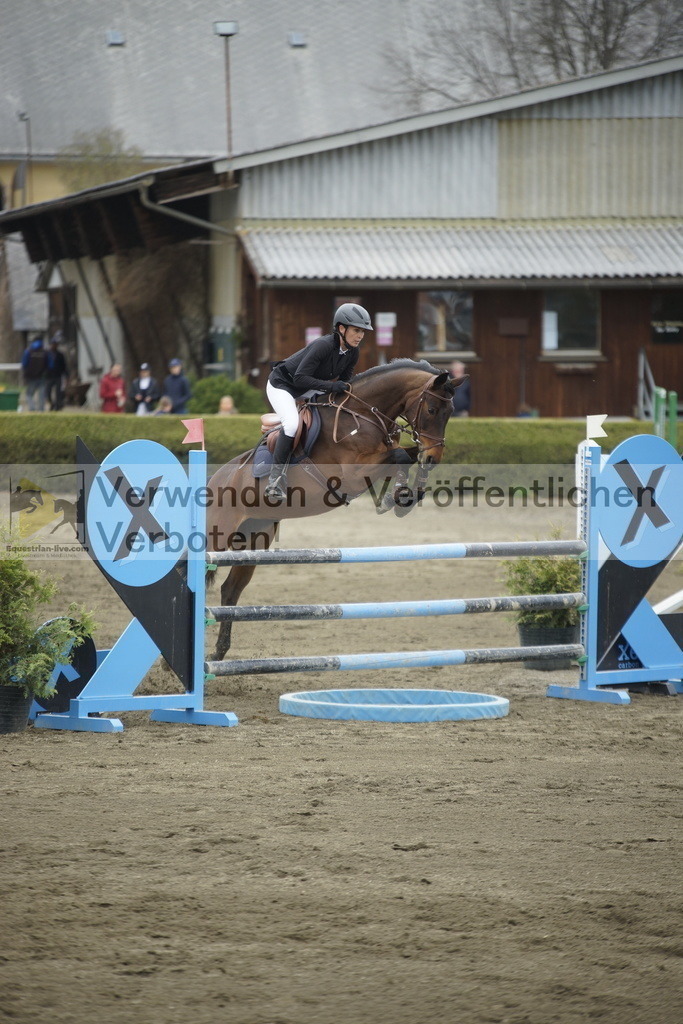 _DSC7277 | equestrian-live-com