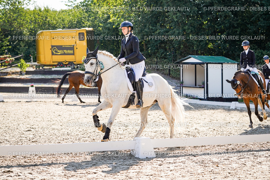 DSC00228 | Pferdegrafie