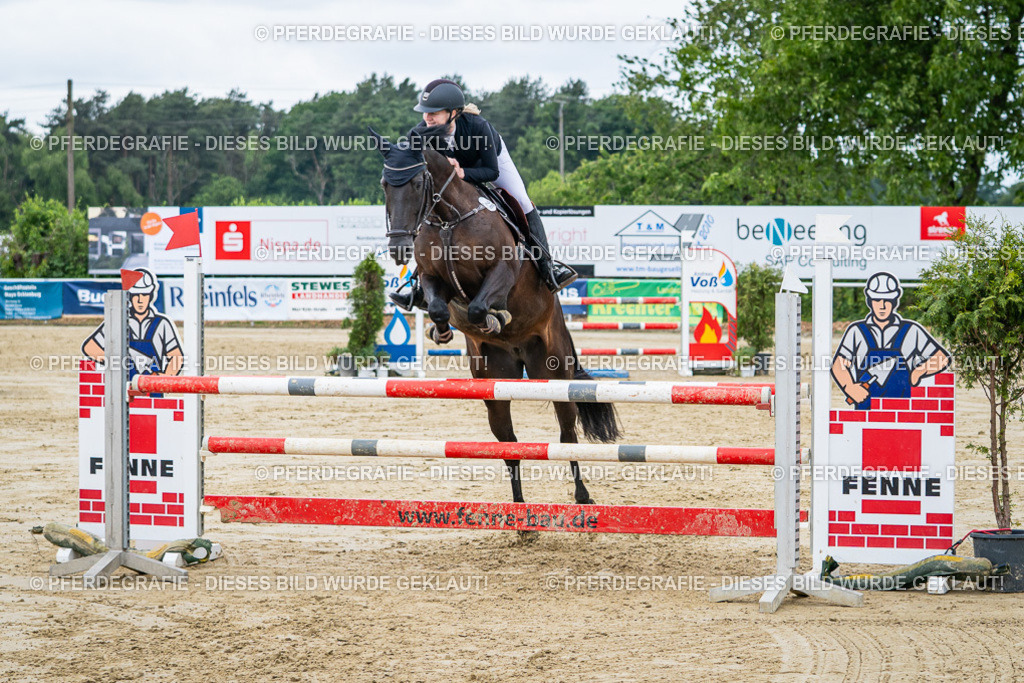 DSC04700 | Pferdegrafie