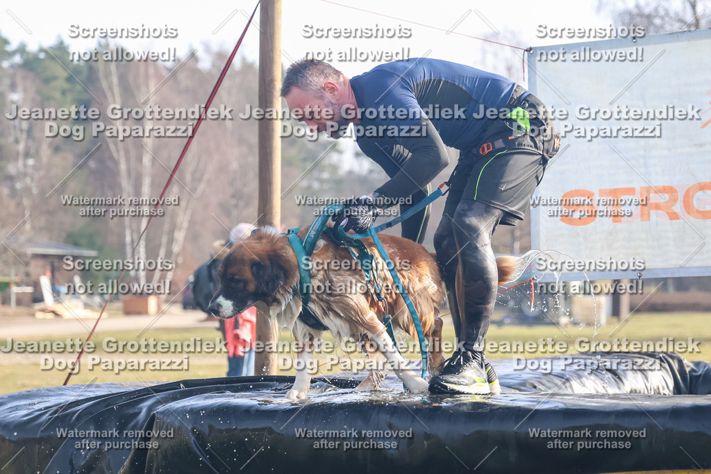 Dog Paparazzi - Strongdog North Mrz26-91 | Dog Paparazzi Jeanette Grottendiek Fotografie & Videografie - Realisiert mit Pictrs.com