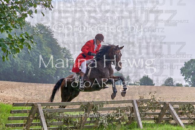 09-23 Jagd Perdöl_MCH9807_Marina Hewig | Fotografie, FotoArt, PferdesportArt, Pferdesportfotografie, Landschaftsfotografie, Reisefotografie, Reise, Pferde - Realisiert mit Pictrs.com