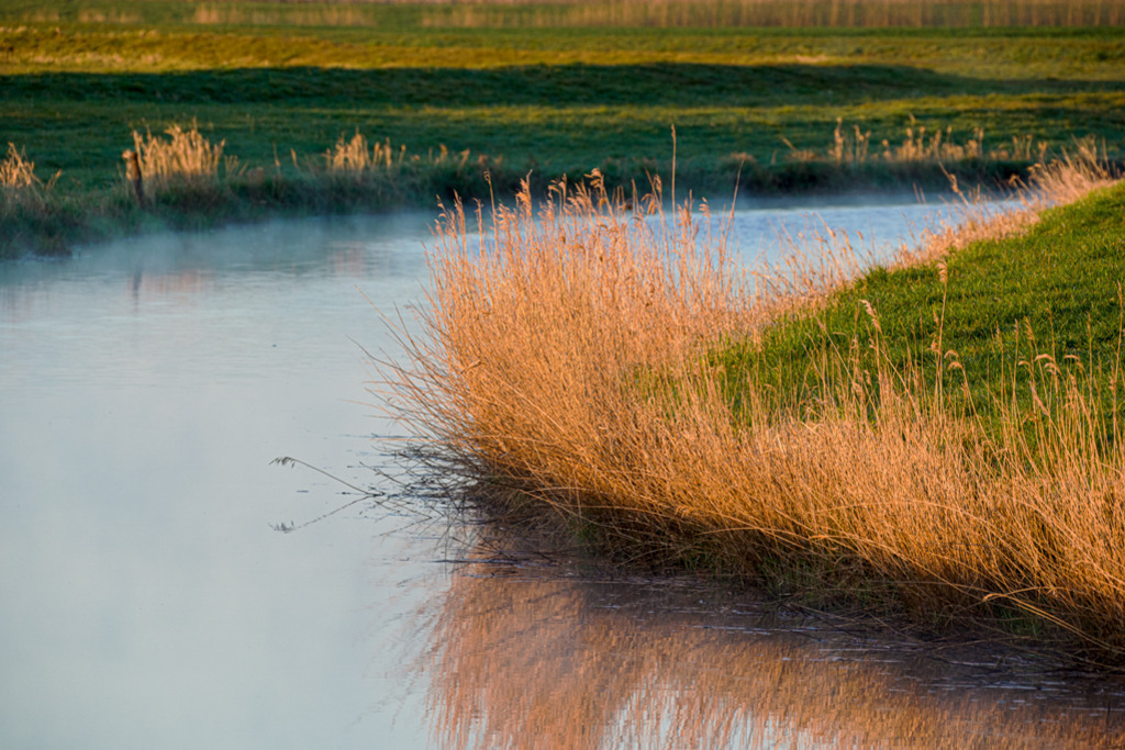 Flussbiegung im Morgenlicht | Während des Sonnenaufgangs liegt Nebel über dem Fluss, das erste Licht streift das Schilf am Ufer. Beim Fluss handelt es sich um die Nordermiele in Schleswig-Holstein. — Auflösung des Originals: 8256 x 5504 px. - Realisiert mit Pictrs.com