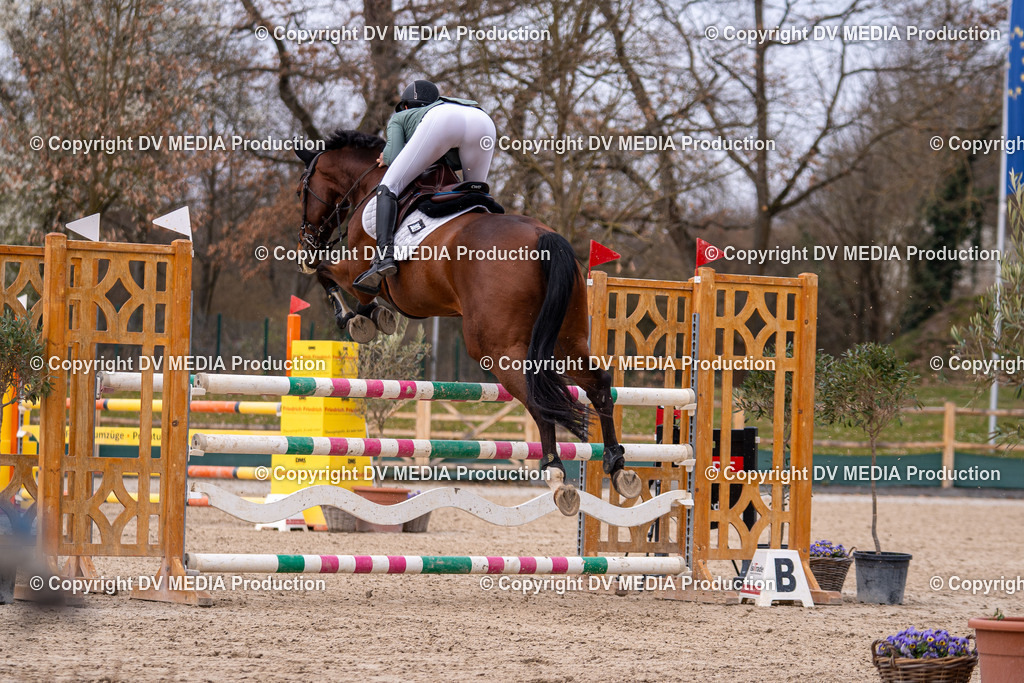 Kranichstein Tag 2-2061 | dv-media-shop - Realisiert mit Pictrs.com