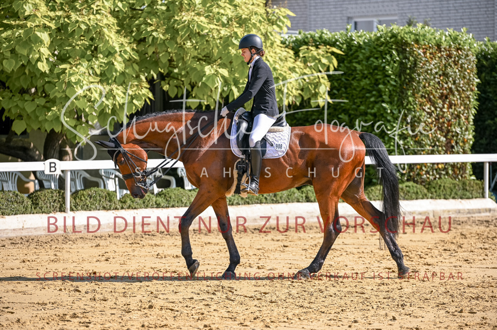 Schugtsche-Aluta25-52.Dressurprf.M2Kand-313 | Schugtsche Fotografie - Realizzato con Pictrs.com