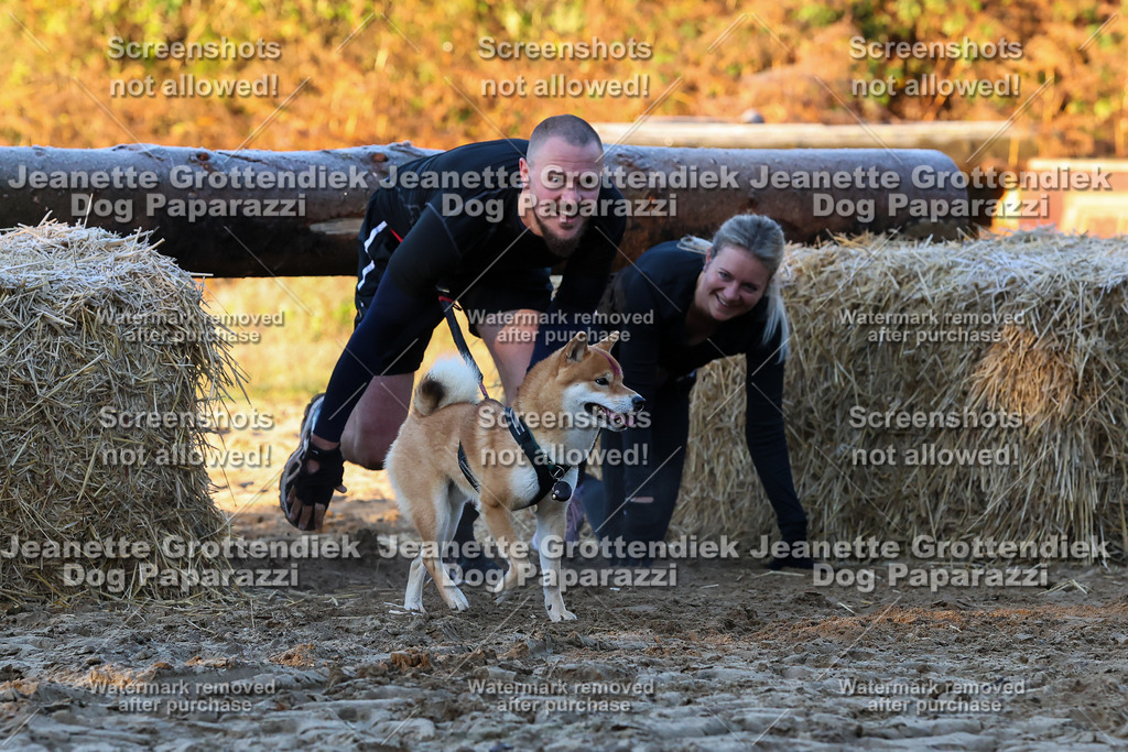 Dog Paparazzi - Strongdog 10-25-515 | Dog Paparazzi Jeanette Grottendiek Fotografie & Videografie - Realisiert mit Pictrs.com