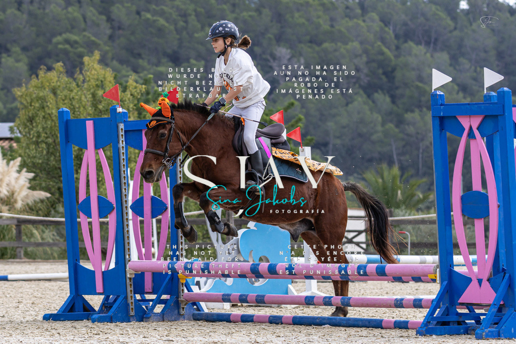 IMG_2337 | s-jay-photography - Realisiert mit Pictrs.com