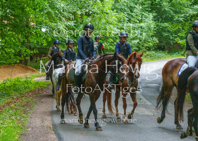 Jagd Kletkamp 26-02779_MarinaHewig | Fotografie, FotoArt, PferdesportArt, Pferdesportfotografie, Landschaftsfotografie, Reisefotografie, Reise, Pferde - Realisiert mit Pictrs.com