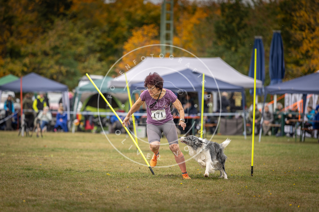 Pfotenfotografie_DV3A5960 | Hundefotografie, Tierfotograf, Pfotenfotografie, Fotoshooting Hund, Hunde Portrait, Hundesport, Hundeportraits, Heideshooting, Hunde, Sportfotograf, Hundefotograf, Turnierhundsport, THS,  - Realisiert mit Pictrs.com