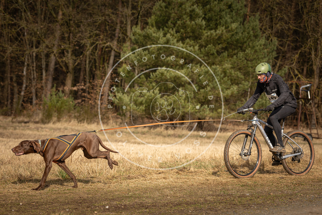 DV3A4359 | Hundefotografie, Tierfotograf, Pfotenfotografie, Fotoshooting Hund, Hunde Portrait, Hundesport, Hundeportraits, Heideshooting, Hunde, Sportfotograf, Hundefotograf, Turnierhundsport, THS,  - Realisiert mit Pictrs.com