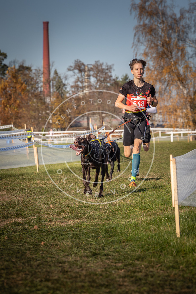 CaniXpix_0L8A7978 | Hundefotografie, Tierfotograf, Pfotenfotografie, Fotoshooting Hund, Hunde Portrait, Hundesport, Hundeportraits, Heideshooting, Hunde, Sportfotograf, Hundefotograf, Turnierhundsport, THS,  - Realisiert mit Pictrs.com