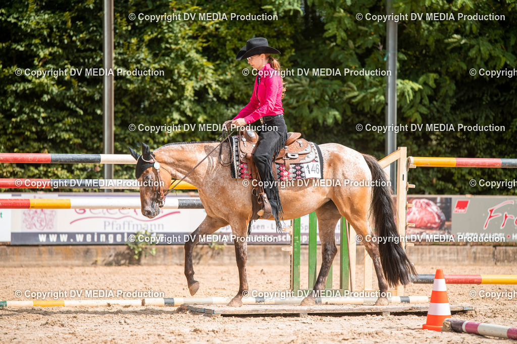 ZS3_9372 | dv-media-shop - Realisiert mit Pictrs.com