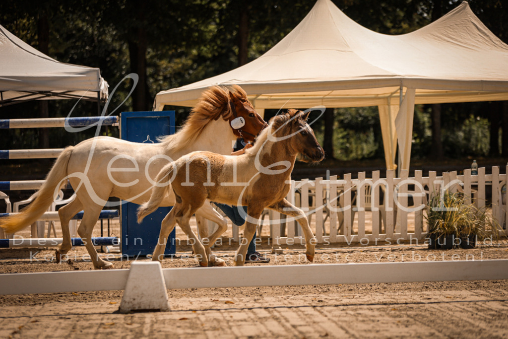 02.DoSR00010 | Leoni Ertmer Photography - Realisiert mit Pictrs.com