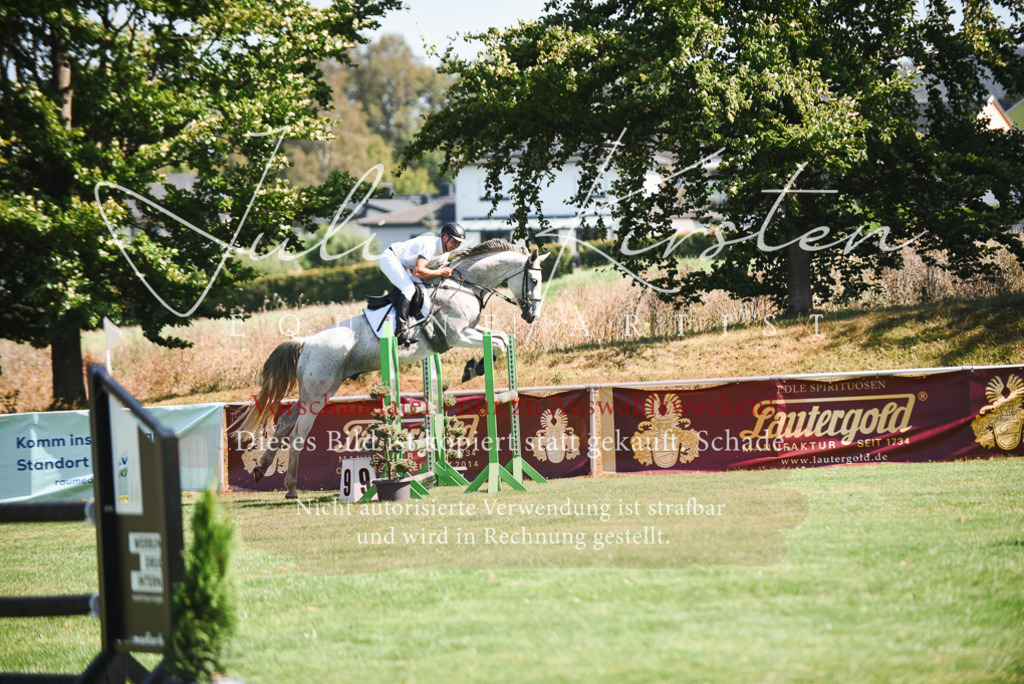 DSC_2703 | Pferde- und Turnierfotografie in Westsachsen. Pferdeportraits, Auftragszeichnungen und intuitive Kunst.
