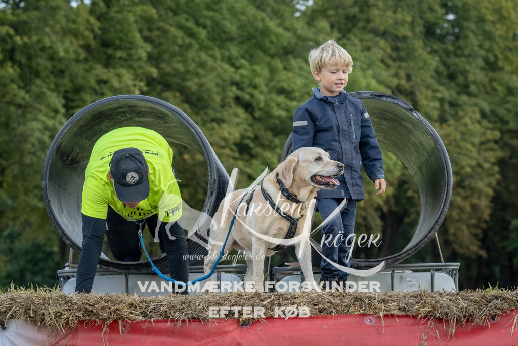 1050_ZZ93195 | kk-dogfotos