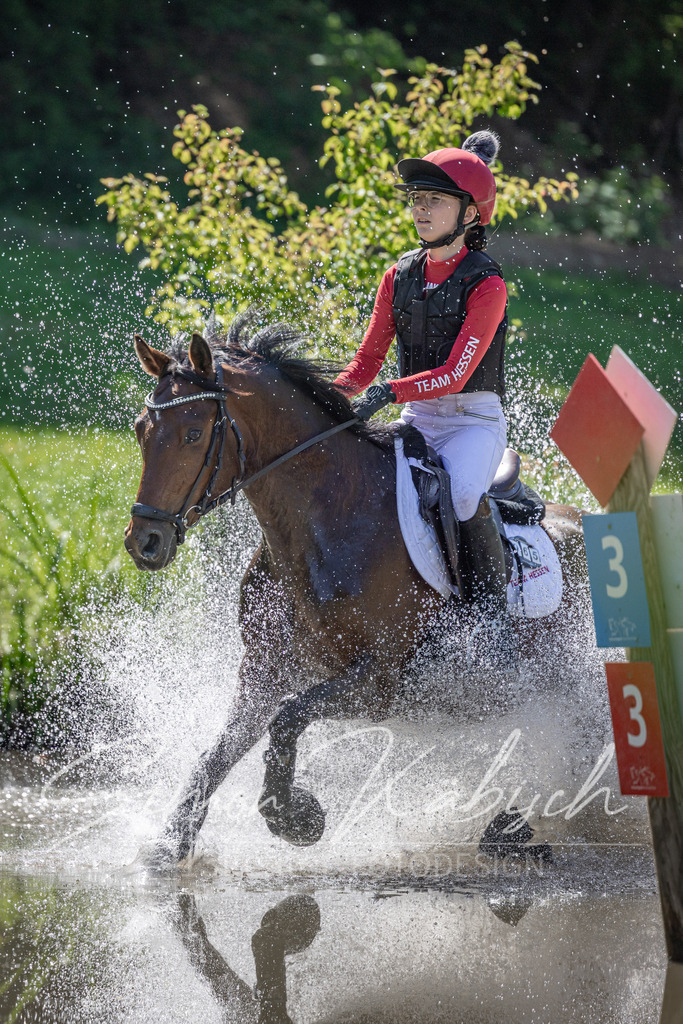 20260523-_3LI7288 | Tierfotografie Pferde, Hunde, Katzen, Haustiere.
Turnierfotografie Reitturniere, Reiten, Springreiten, Dressur in Hanau, dem Main-Kinzig-Kreis und dem Rhein-Main- Gebiet um Frankfurt