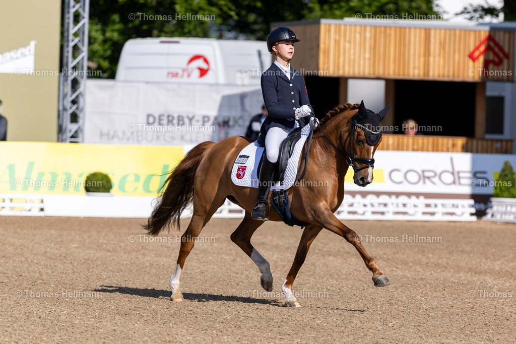 TH_602-BUCK Mats (GER)_ Dancing Sun HF_17863 | Deutsches Spring- und Dressur-Derby 2024 am 12.05.24 in Hamburg, 602BUCK Mats (GER), Dancing Sun HF