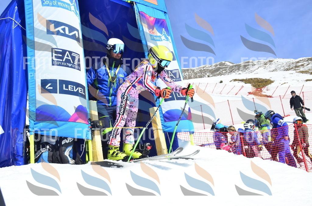 _ELE0892 | holidayphoto