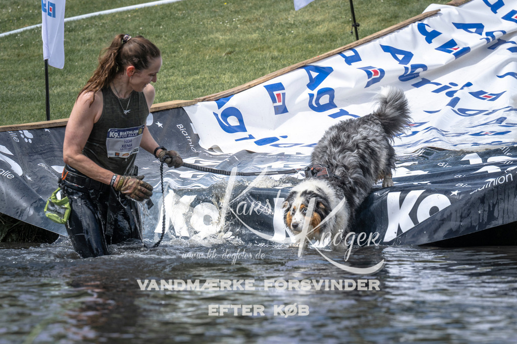 1210_ZZ95975 | kk-dogfotos