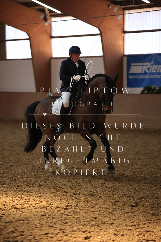 IMGT3622 | pl-fotografie