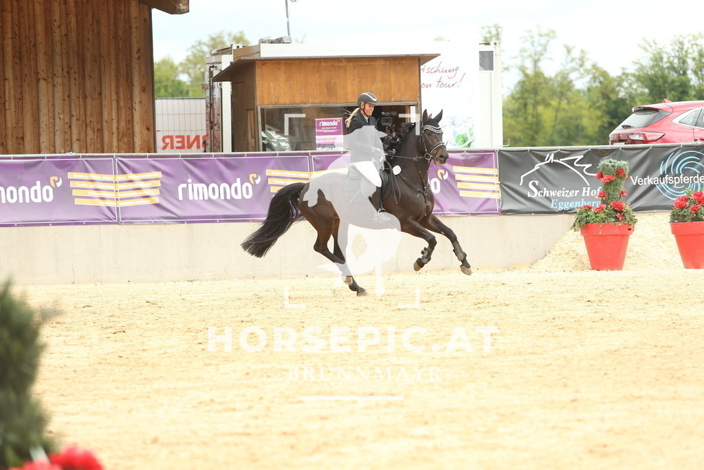 DL2Q1488 | Willkommen bei Brunnmayr - Design & Fotografie – Ihrem Spezialisten für Reitturniere und Pferdeveranstaltungen in Oberösterreich, Salzburg und Bayern! Seit über 17 Jahren sind wir leidenschaftlich dabei.