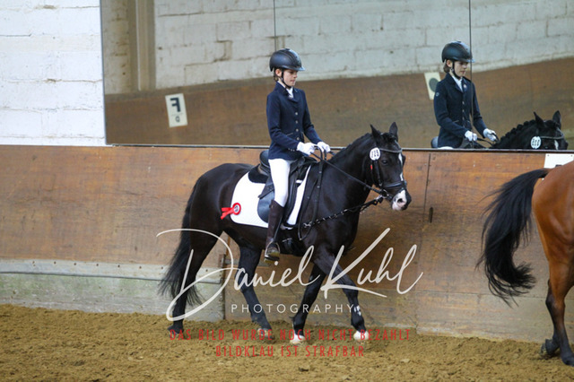 DKP43804 | Turniersportfotografie; Pferdefotografie; Dressurfotografie