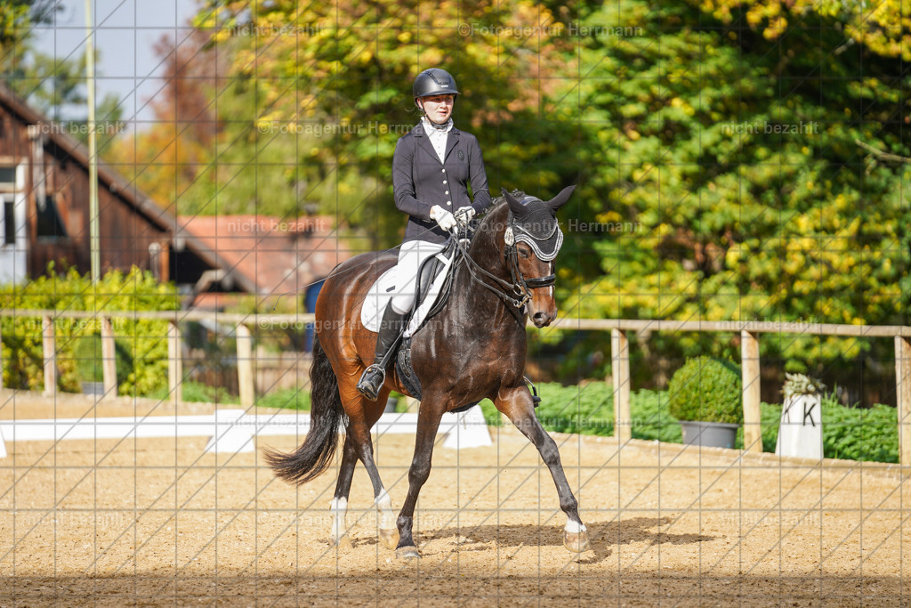 20221007-FAH09961 | Diessen am Ammersee, 2022, Dressur- und Springturnier, Reitsportbilder, Turnierfotografen Bayern, Pferdefotografen, Fotoagentur Herrmann, Turnierbilder