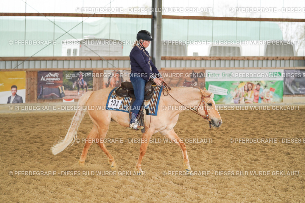 DSC06393 | Pferdegrafie