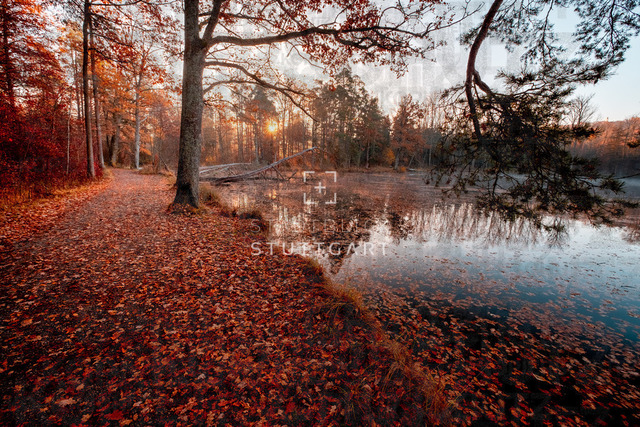 _DSF6013-HDR | "Entdecken Sie atemberaubende Bilder von Stuttgart im Fotowerk Stuttgart! Kaufen Sie hochwertige Fotos auf Leinwand oder laden Sie digitale Downloads für Ihre Wohnung oder Büros herunter.  - Realisiert mit Pictrs.com