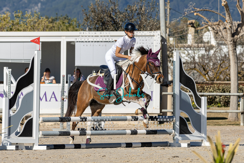 IMG_8256 | s-jay-photography - Realisiert mit Pictrs.com