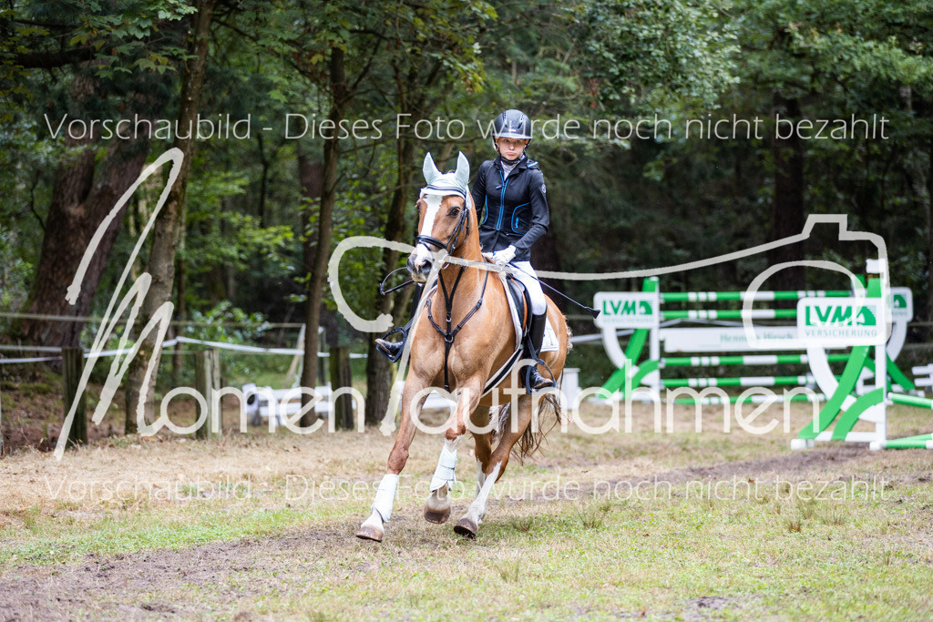 HB-Springreiter-028 | MomenTaufnahmen Pferdesportfotos