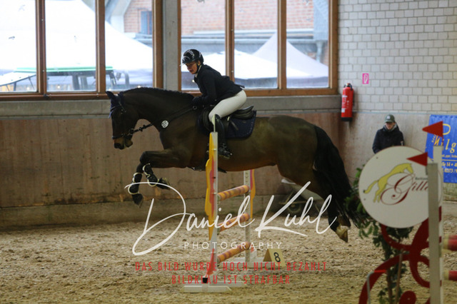 IMG_0765 | Deine Turnierfotos vom Reitturnier online kaufen: Dressur, Springen & Siegerehrung. Professionelle Pferdefotografie aus dem Rheinland – als Download & Print.Alternative: Turnierfotograf für den Pferdesport: Finde deine Fotos von Dressur- und Springturnier