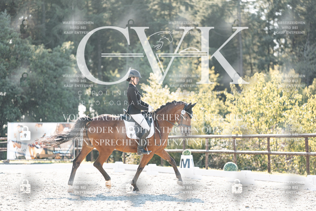CK906728 | Turnierfotografie Pferdefotografie Trier Rheinland-Pfalz Pferdesport Reitsport Tierfotografie Sportfotografie Pferdevideo Pferdevideografie Equestrianvideography equestrianphotography  - Realisiert mit Pictrs.com