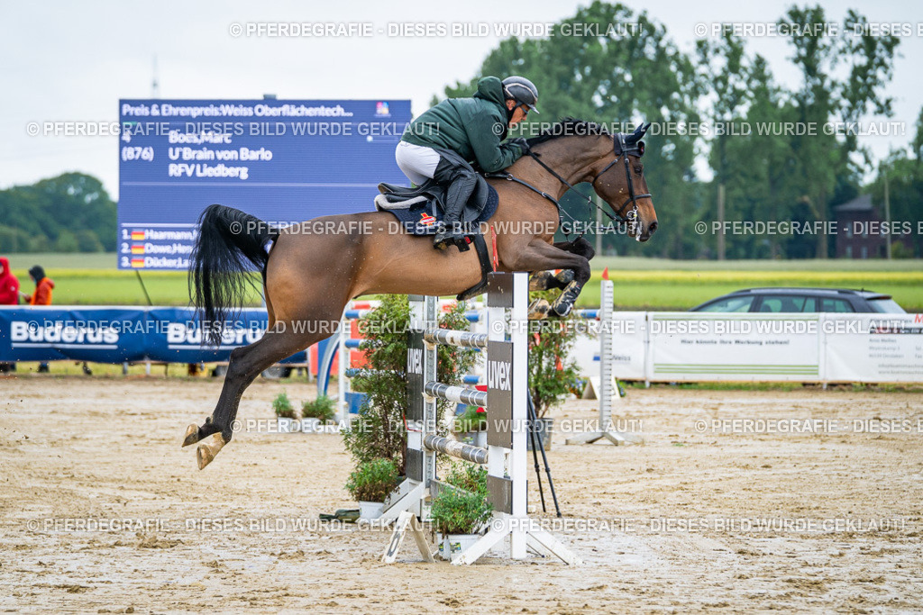 DSC03522 | Pferdegrafie