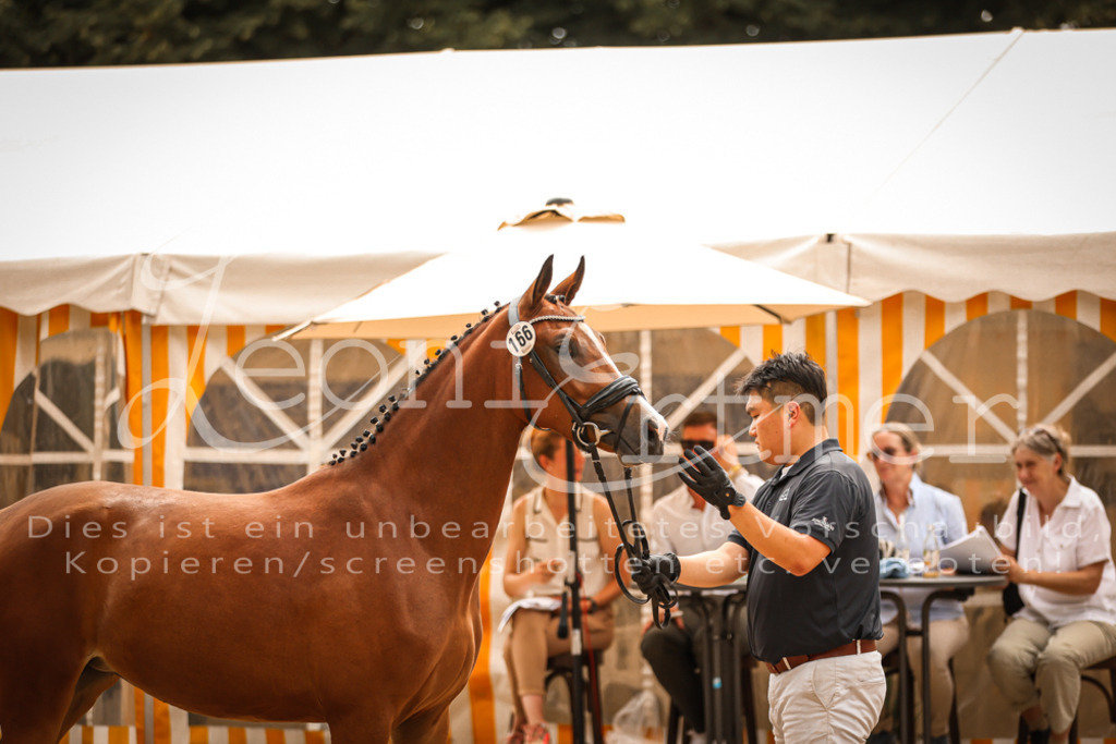 11.So00005 | Leoni Ertmer Photography - Realisiert mit Pictrs.com