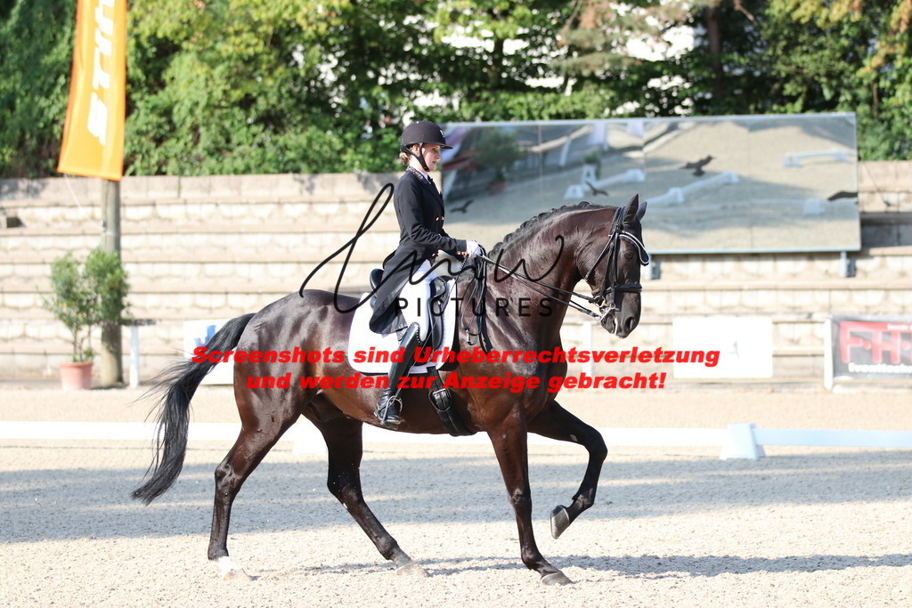 IMG_8819 | lmwpictures - Realisiert mit Pictrs.com