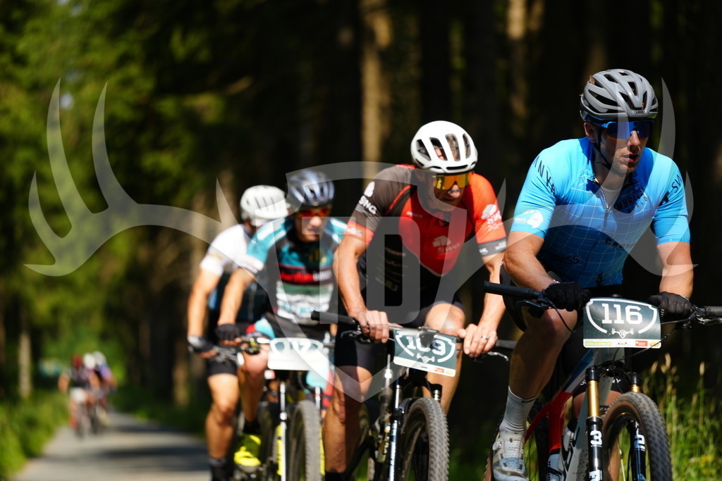 FC102549 | Fotogalerie der Treibjagd im Dunkelwald - Dein MTB Etappenrennen im Erzgebirge - Realisiert mit Pictrs.com