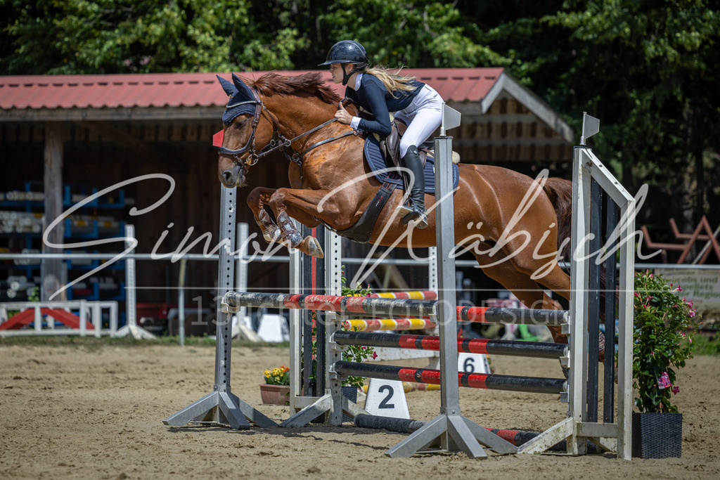 20260704-_3LI9654 | Tierfotografie Pferde, Hunde, Katzen, Haustiere.
Turnierfotografie Reitturniere, Reiten, Springreiten, Dressur in Hanau, dem Main-Kinzig-Kreis und dem Rhein-Main- Gebiet um Frankfurt
